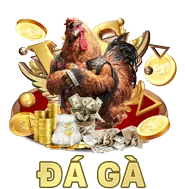 Giao Diện Thân Thiện, Dễ Sử Dụng 567tv
